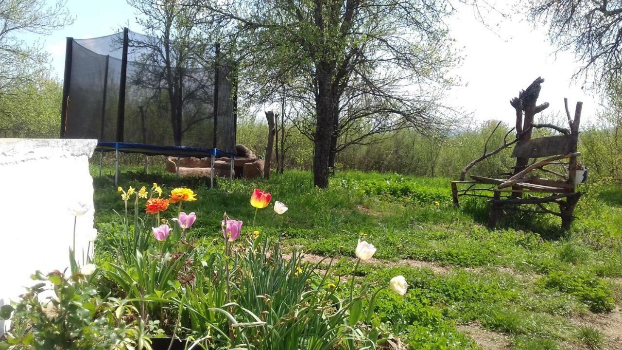 Sleepy Paradise Plitvice Rakovica Exterior photo